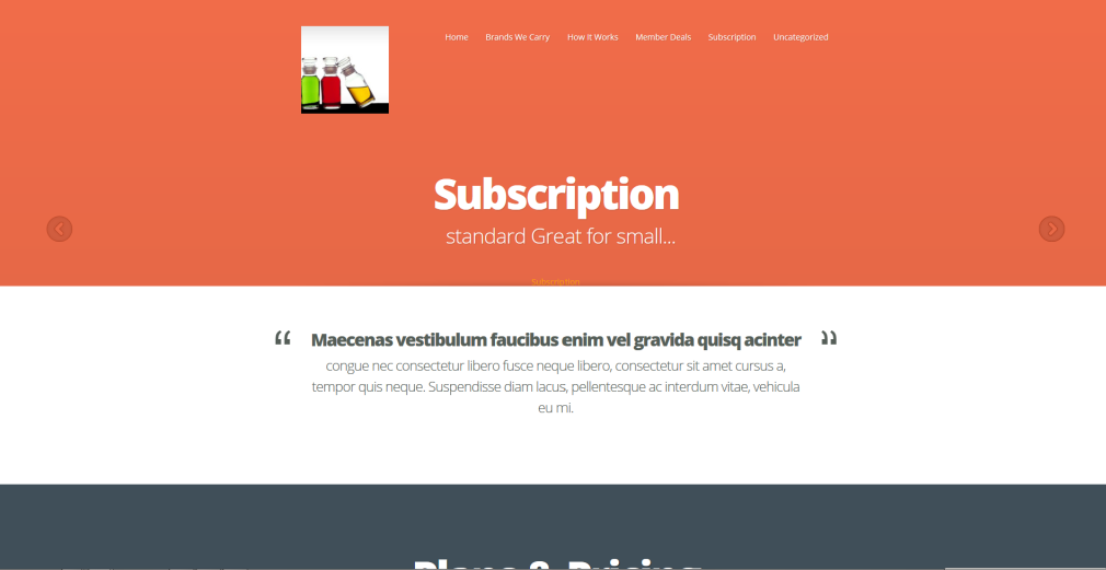 Subscription Website Web Design & SEO Expert